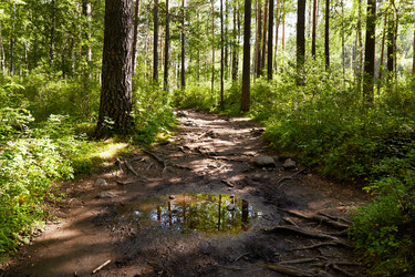 Similar image 21207599