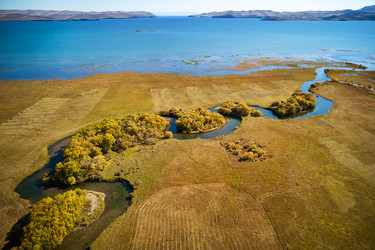 Similar image 21207600