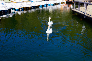 Similar image 21207603