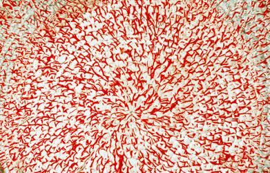 Similar image 21221689