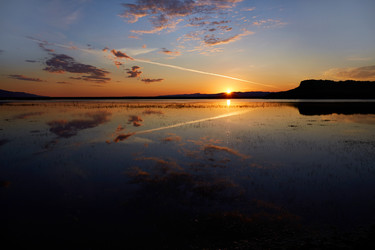 Similar image 21208762