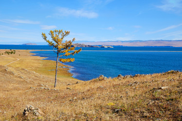 Similar image 21204548