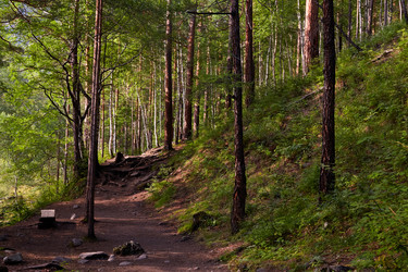 Similar image 21208665