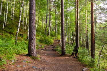 Similar image 21207620