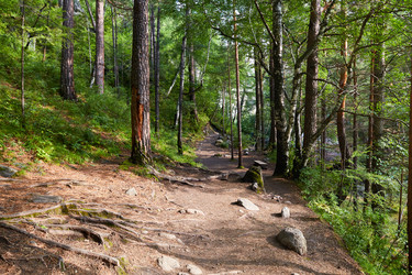 Similar image 21204570