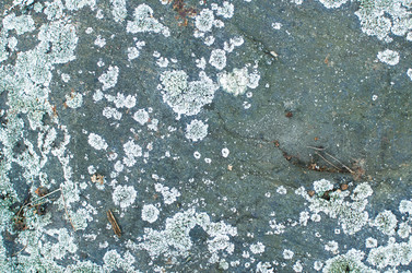 Similar image 21221691