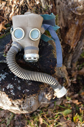 Similar image 21221698