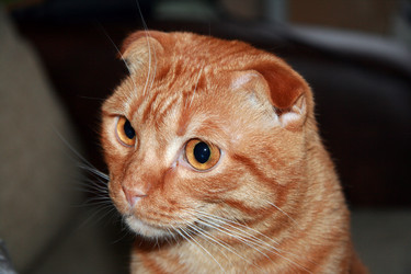 Similar image 21208676