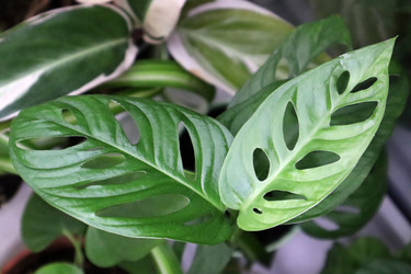 Similar image 21208682