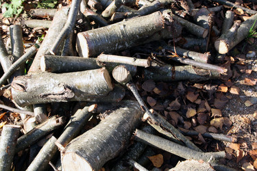 Similar image 21208683