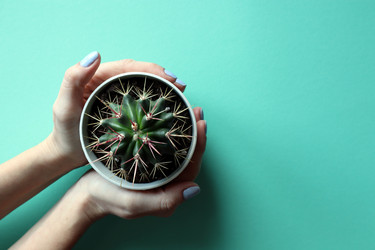 Similar image 21216250