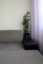 Similar image 21208702