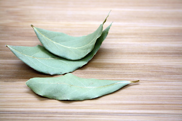 Similar image 21216261