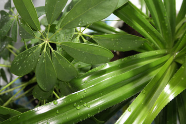 Similar image 21208714