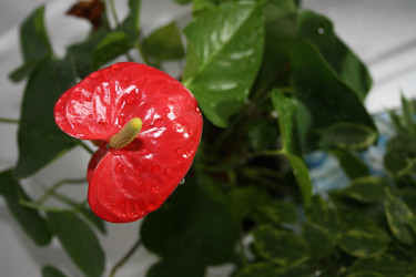 Similar image 21208715