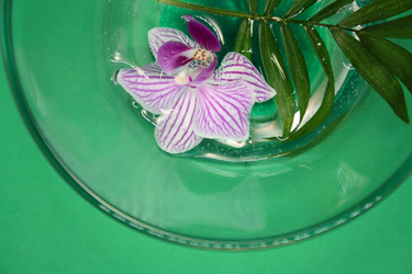 Similar image 21208720