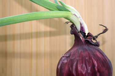 Similar image 21216270