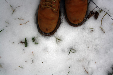 Similar image 21208721