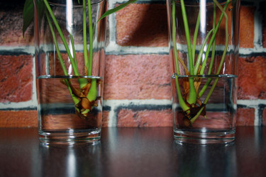 Similar image 21216271