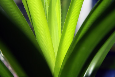 Similar image 21216284