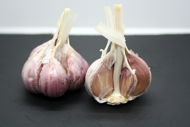 Similar image 21216291