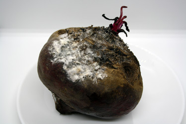 Similar image 21216293