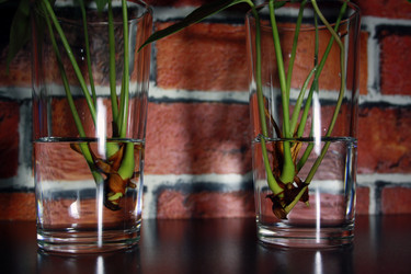 Similar image 21216500