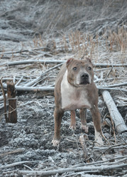 Similar image 21211088