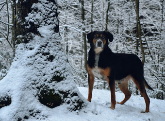 Similar image 21211090