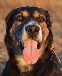 Similar image 21211092