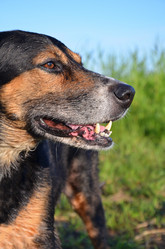 Similar image 21211096