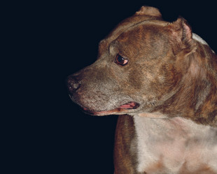 Similar image 21211097