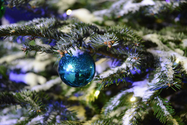 Similar image 21207631