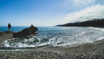 Similar image 21202977