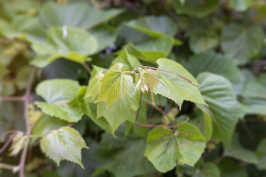 Similar image 21205102