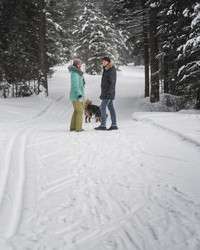 Similar image 21217185