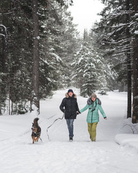 Similar image 21208622