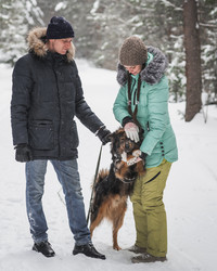 Similar image 21208624