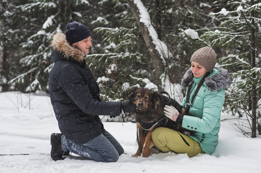 Similar image 21217186