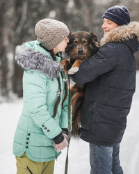 Similar image 21208631