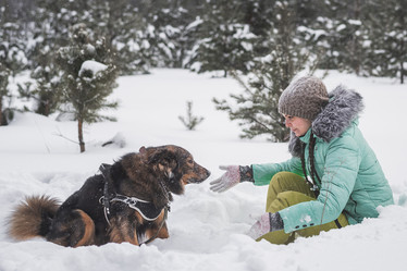 Similar image 21217303