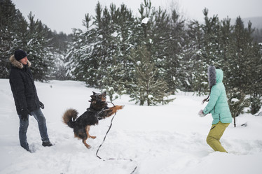 Similar image 21208632