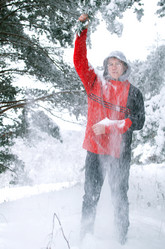 Similar image 21221705