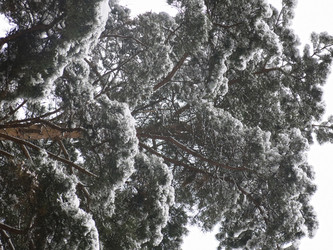 Similar image 21212704