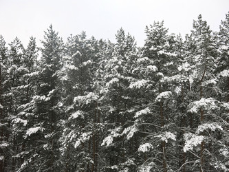 Similar image 21212705