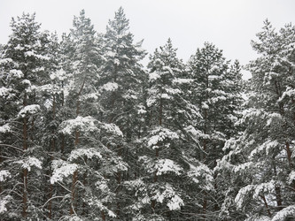 Similar image 21212706