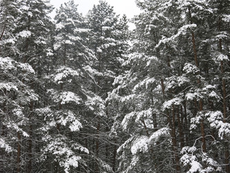 Similar image 21212707