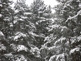 Similar image 21212708