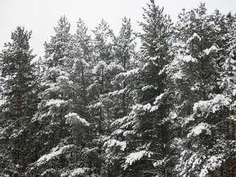 Similar image 21212709