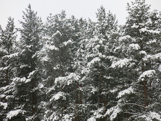 Similar image 21212710